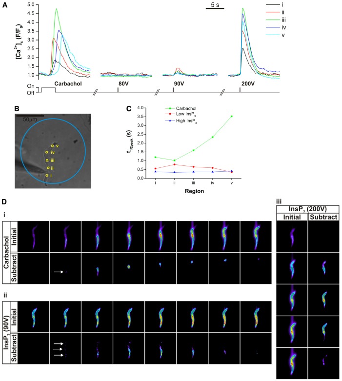 Fig. 4.