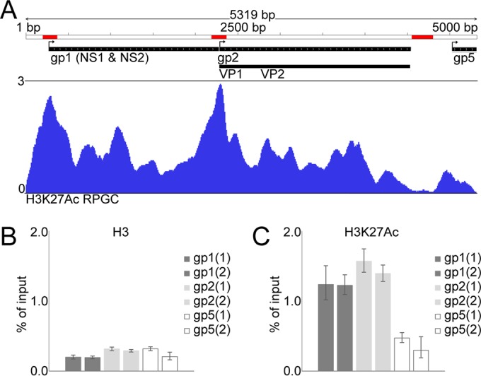 FIG 3