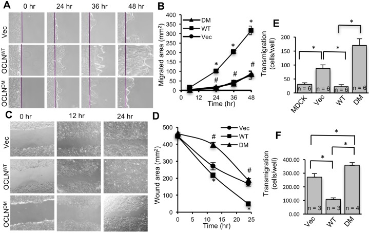 Fig. 8.