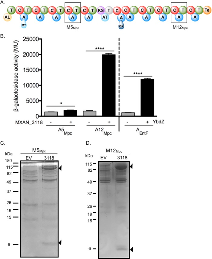 FIG 3