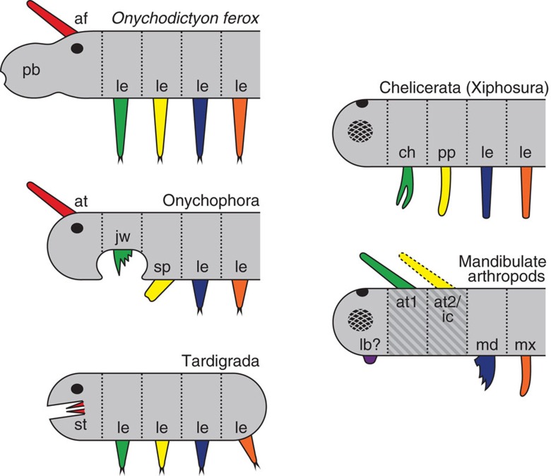 Figure 4