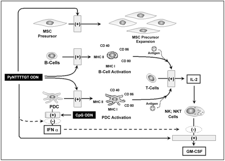 Fig 10