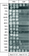 FIG. 1.
