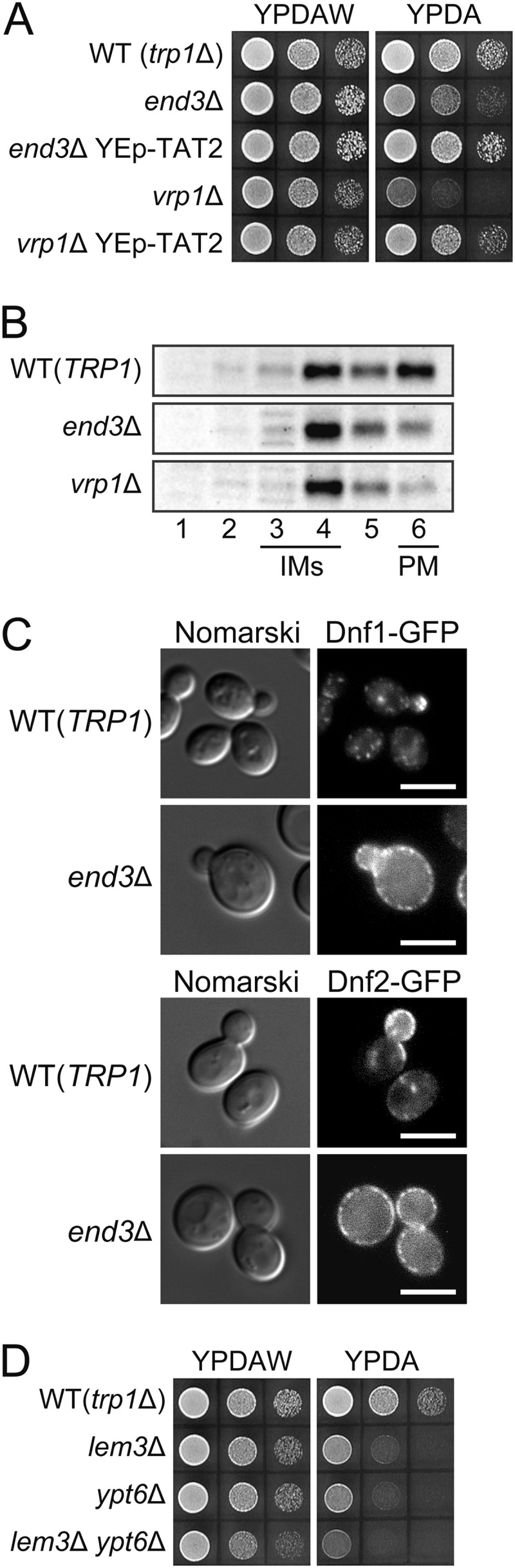 FIGURE 5.