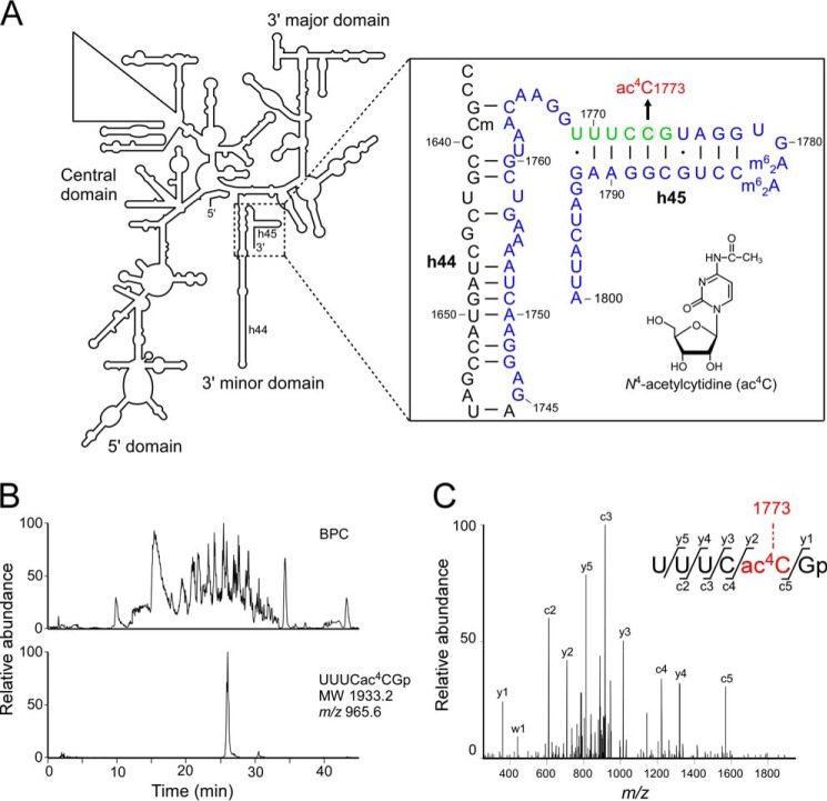 FIGURE 1.