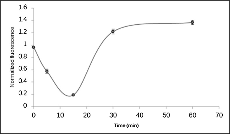 Fig. 5