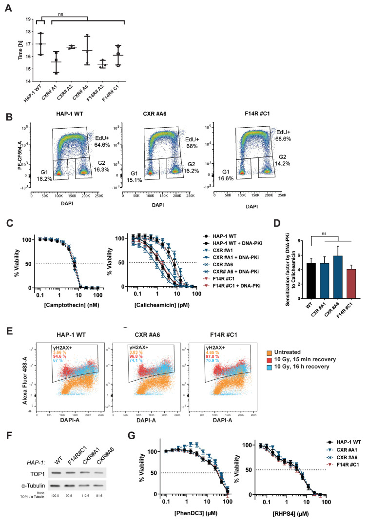 Figure 2—figure supplement 2.