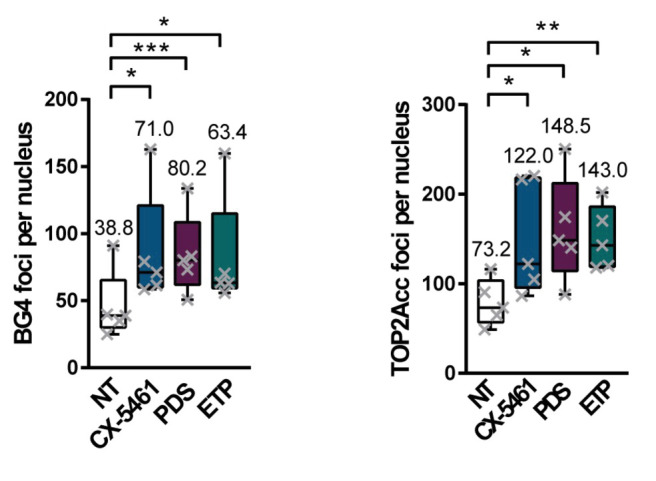 Figure 4—figure supplement 2.