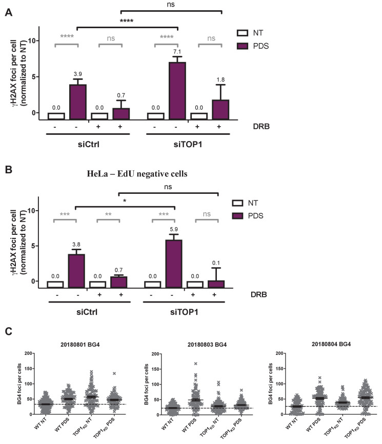 Figure 6—figure supplement 3.