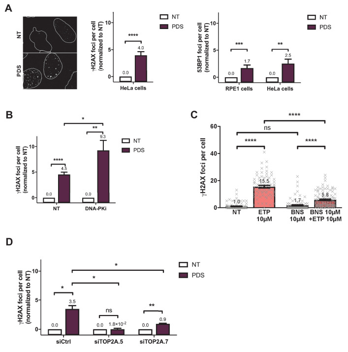 Figure 3—figure supplement 2.