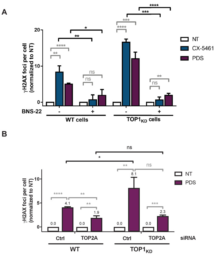 Figure 6—figure supplement 2.