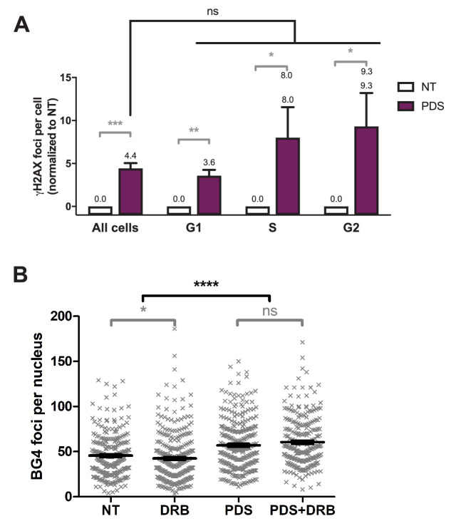 Figure 5—figure supplement 2.