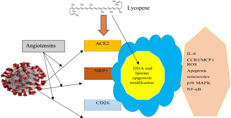 Fig. 4