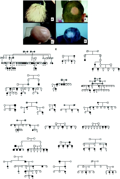 Figure  1. 