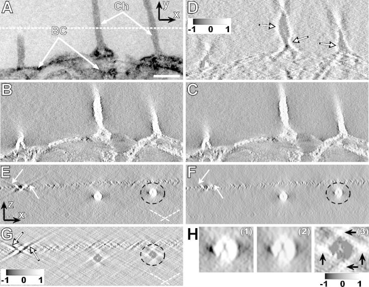 Fig.4