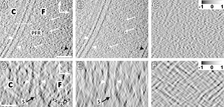 Fig.6