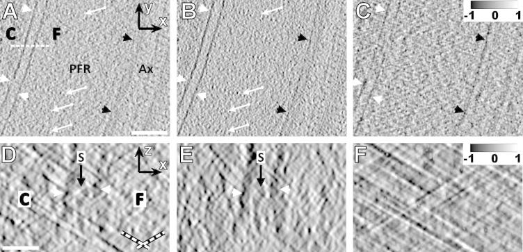 Fig.5