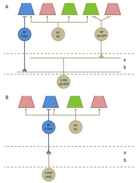 Fig. 2