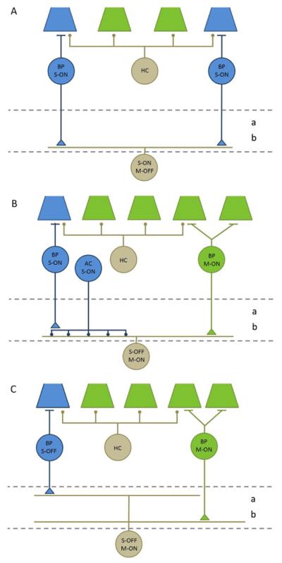 Fig. 1