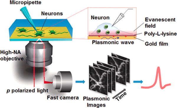 Figure 10