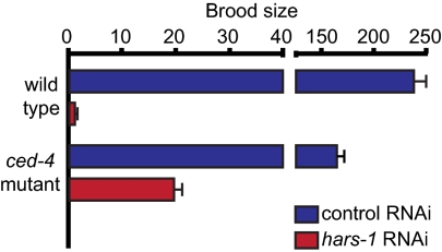 Fig. 5.