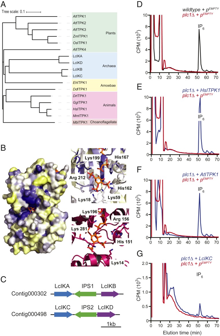 Fig. 2.