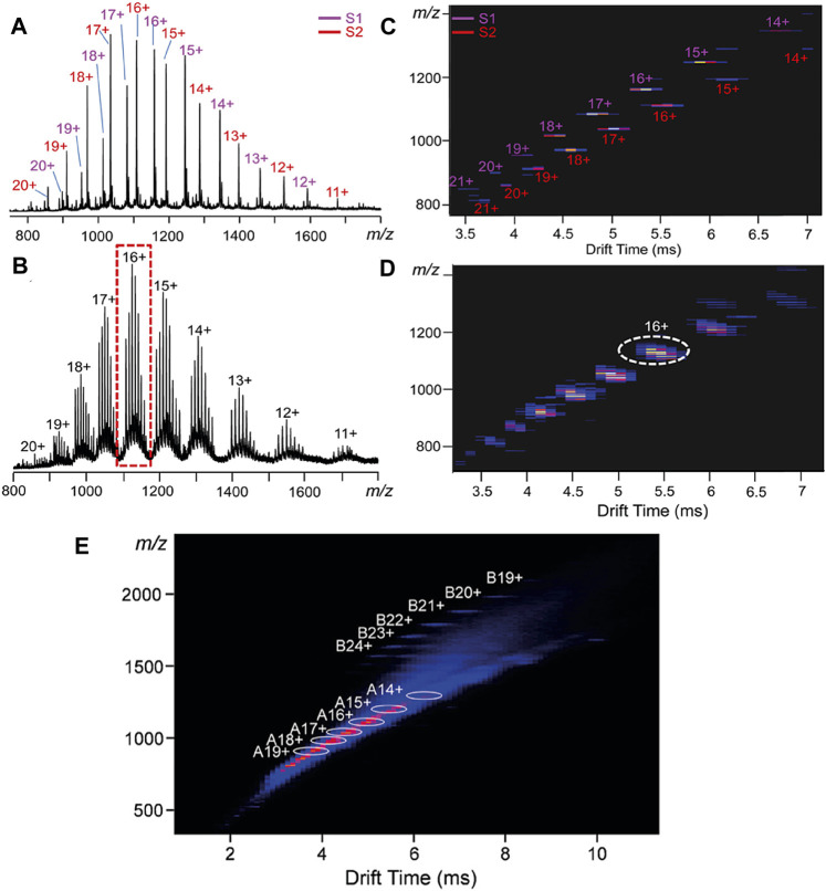 FIGURE 11