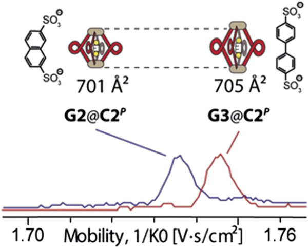 FIGURE 13