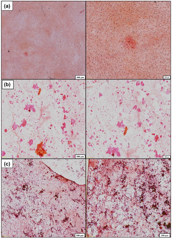 Figure 11: