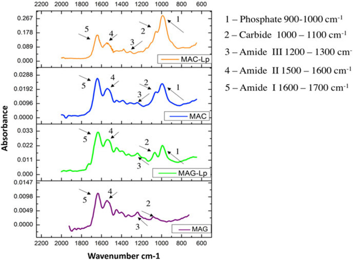 Figure 10: