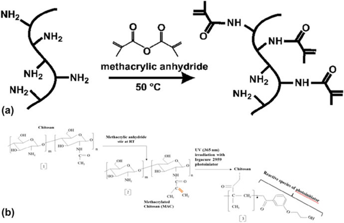 Figure 1: