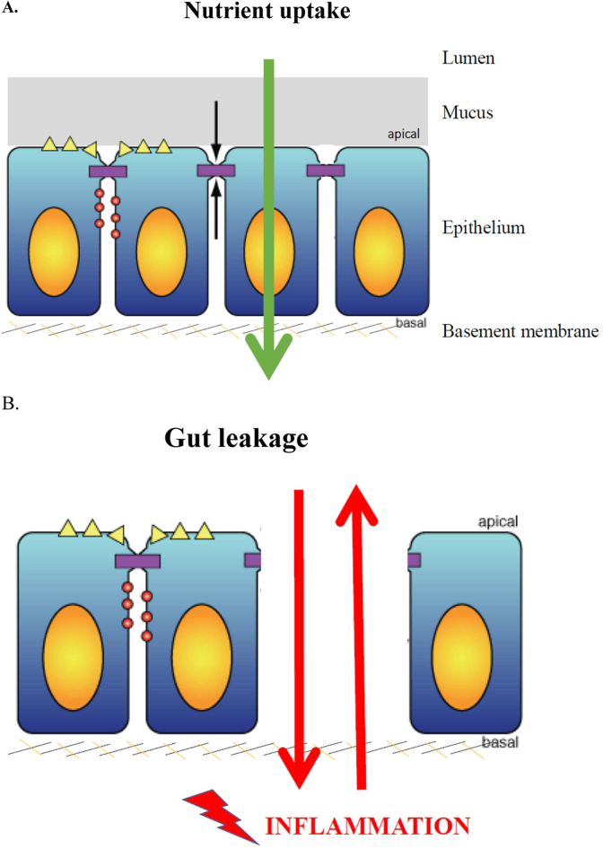 Fig. 1