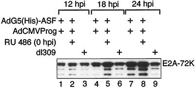 FIG. 5