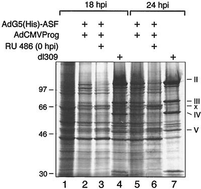 FIG. 9