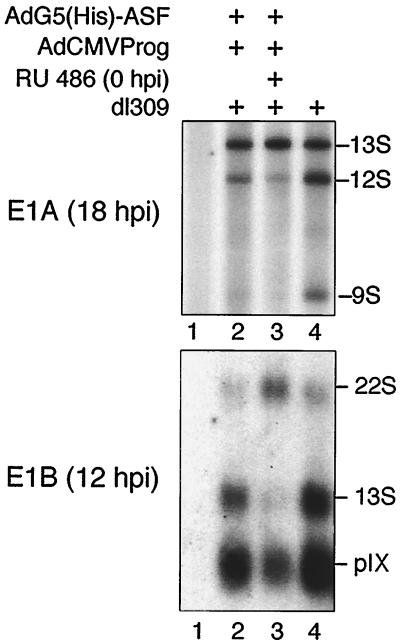 FIG. 6