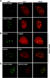 FIG. 6.