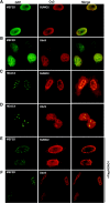 FIG. 4.