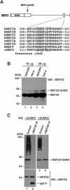 FIG.1.