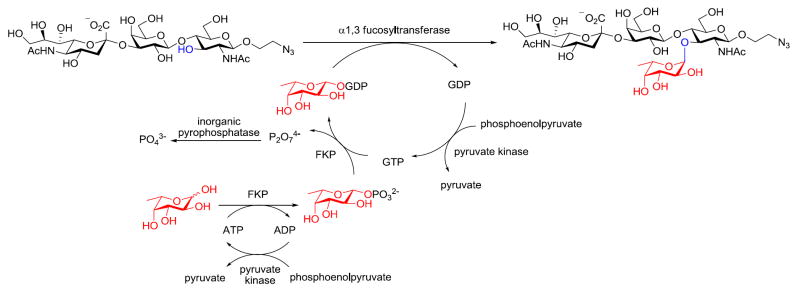 Scheme 2