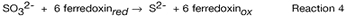 graphic file with name i1543-8120-42-1-1-eq4.jpg