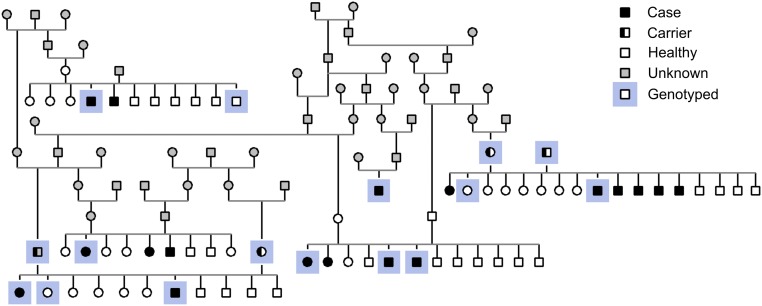 Fig. S2.