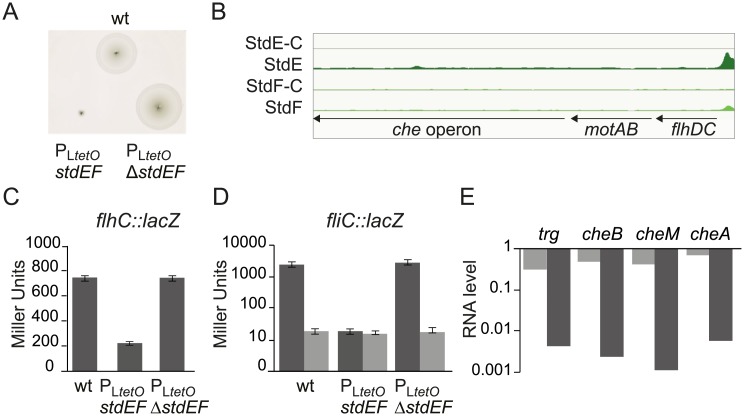 Fig 4