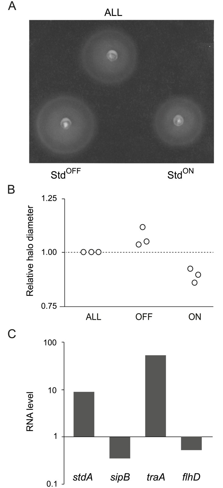 Fig 7