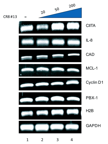 Figure 4.