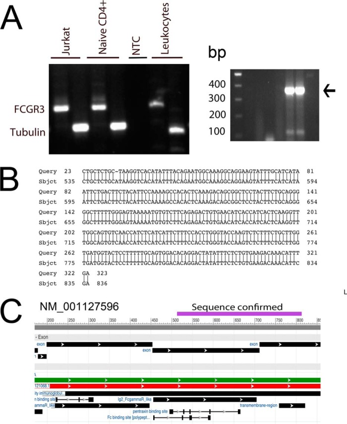 FIGURE 7.