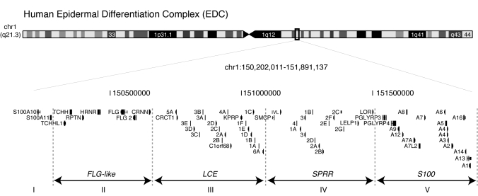 Figure 1.