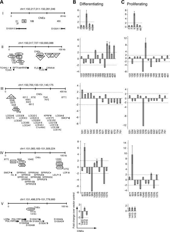 Figure 4.