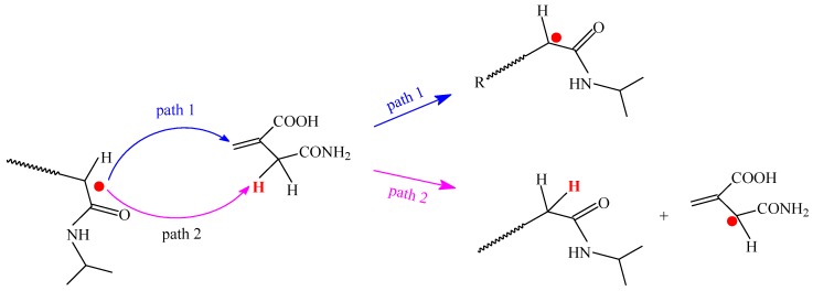 Scheme 2