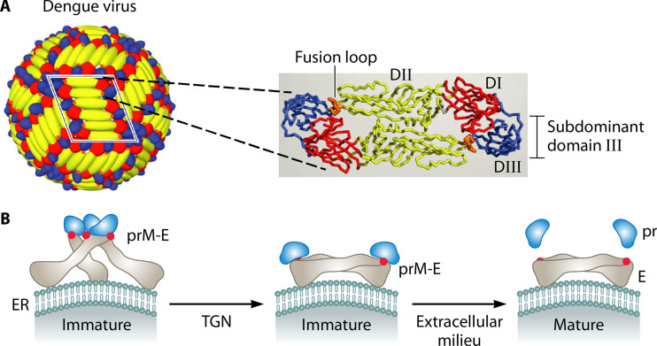 FIG 4