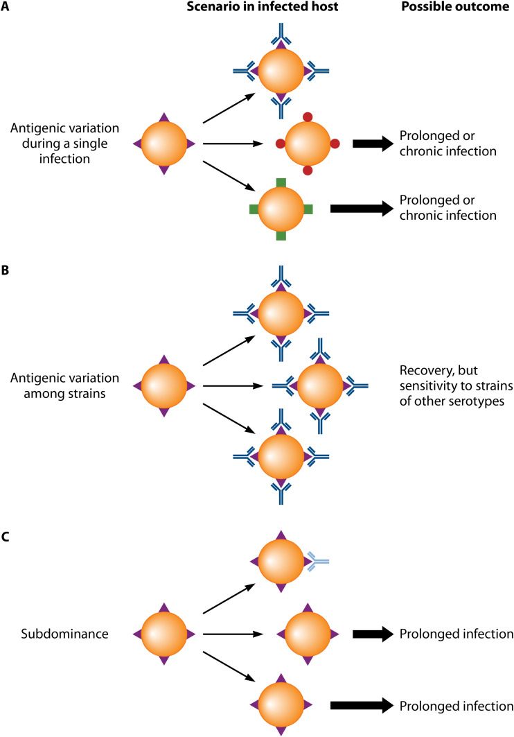 FIG 6